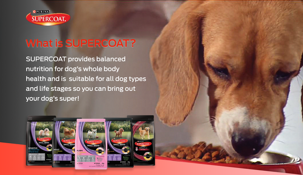 Purina® SUPERCOAT - Transition Feeding Guide