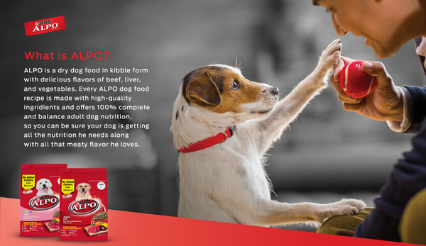 ALPO Dry Puppy and Adult Transition Guide