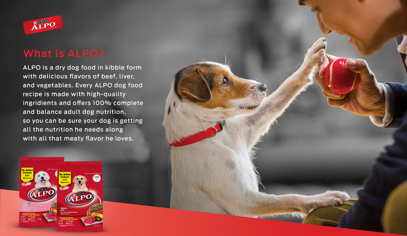 ALPO Dry Puppy and Adult Transition Guide