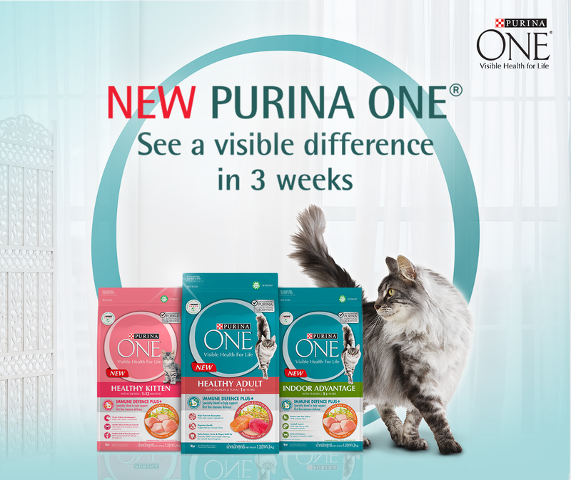 Purina cat food samples online