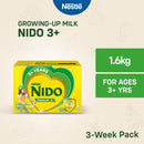Nido 3+ Powdered Milk Drink for Pre-Schoolers Above 3 Years Old 1.6kg