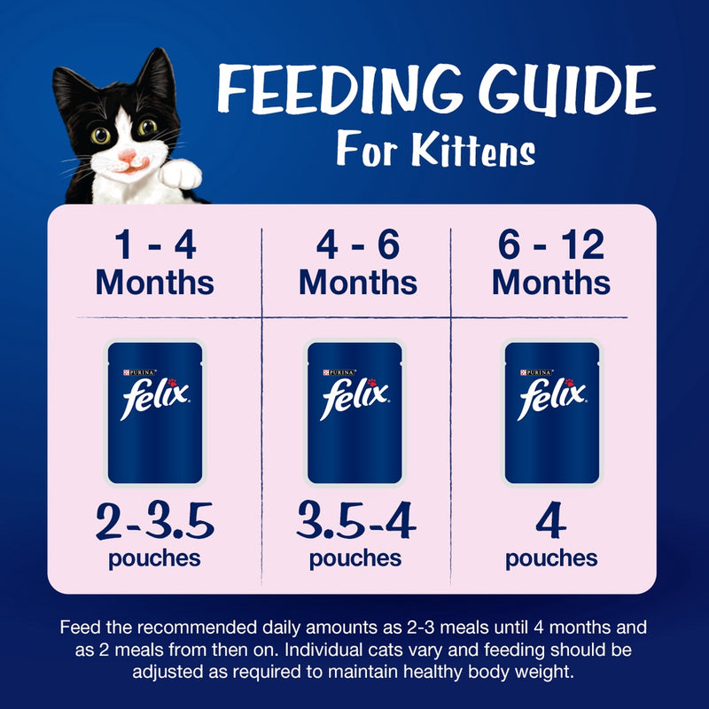 PURINA FELIX Kitten with Chicken in Jelly - 85g