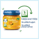 Gerber Squash Puree Baby Food 80g