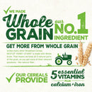 Honey Stars Breakfast Cereal 450g